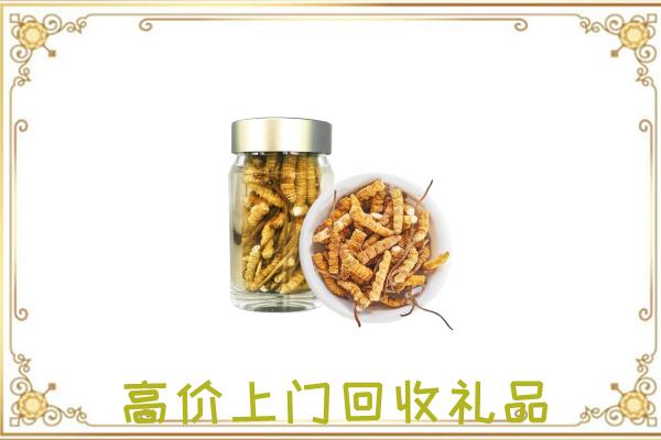 崇左周边回收虫草